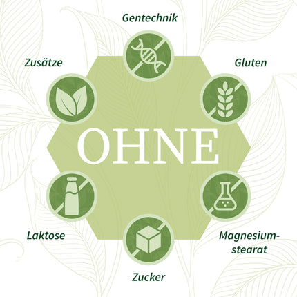 Feinwälder® MSM Powder, 1000g – 99.9% Purity, Premium Quality, Organic Sulfur, Methylsulfonylmethane without Additives