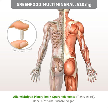 Greenfood Multimineral, high-dose, 510 mg - 120 capsules, vegan. Mineral complex &amp; trace elements - magnesium, calcium, zinc, selenium &amp; iodine - for bones, hair, nails &amp; nerves. From Greenfood.
