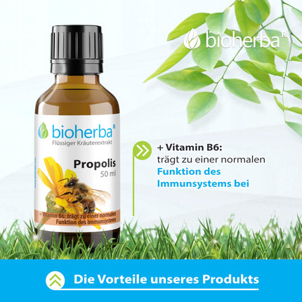 Propolis drops alcohol-free – 50 ml tincture with vitamin B6 – herbal food supplement from BIOHERBA PZN 17187037