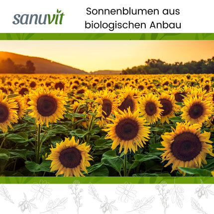 Sanuvit® - Organic Sunflower Lecithin Capsules | 1200 mg per daily dose | High dosage | High bioavailability and tolerability | Vegan | Made in Austria | 180 Capsules