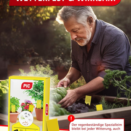 PIC Yellow Stickers for Fungus Gnats - 60x yellow stickers against fungus gnats, effective yellow trap for fungus gnats and against small flies in potting soil, alternative to nematodes against fungus gnats