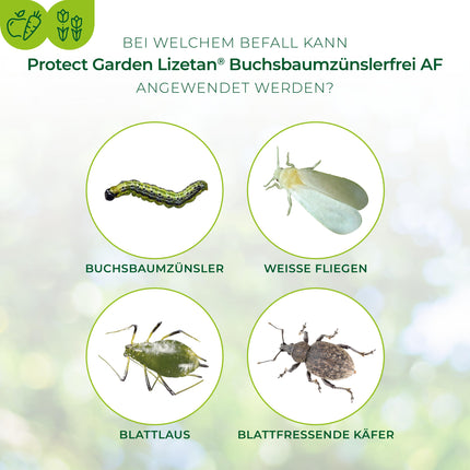 PROTECT GARDEN Lizetan Box Tree Moth Free AF, ready-to-use spray against box tree moths, 1 liter