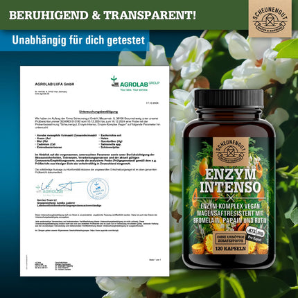 ENZYM INTENSO® Bromelain Capsules - IMPORTANT: Laboratory-tested formula with bromelain (5000 FIP), papain, rutin | pineapple &amp; papaya enzyme - 120 gastro-resistant capsules - SCHEUNENGUT®