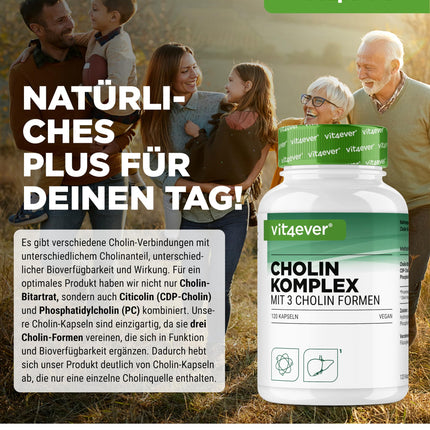 Choline Complex with 3 Choline Forms - 120 Capsules - Bitartrate, Citicoline &amp; Phosphatidylcholine in a synergistic combination - No additives - Vegan