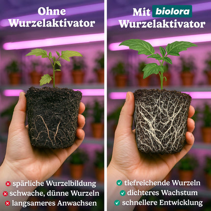 BIOLORA® 25g Turbo Root Activator - Strong root formation for cuttings and young plants - Indoor &amp; Outdoor