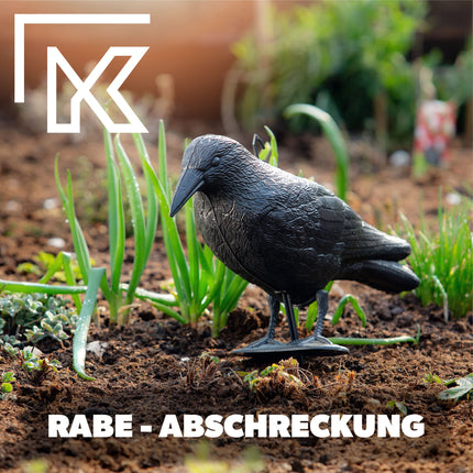 KADAX Black Raven, pigeon repellent and pigeon deterrent made of plastic, bird repellent, natural pest control, protection against annoying birds