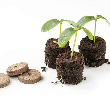 Biolan Indoor Propagator – Mini Grow Kit for 12 Seeds with 36 Peat-Free Growing Tablets, Durable Material, Transparent Cover, and Ventilation Design. Reusable. Perfect for Beginners