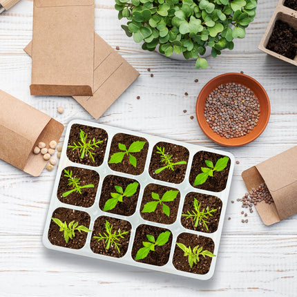 2 Pack Indoor Greenhouse Propagator, Reusable Seed Starter Tray, Silicone Propagator Tray, Seed Starter Tray with Flexible Pop-Out Cells, for Seed Germination Plant Growth