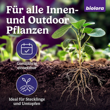 BIOLORA® 25g Turbo Root Activator - Strong root formation for cuttings and young plants - Indoor &amp; Outdoor