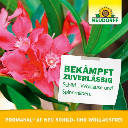 Neudorff Promanal AF New Scale and Mealybug Free – Combats scale and mealybugs as well as spider mites on hard-leaved ornamental plants such as oleander and olive, 500 ml, colorful