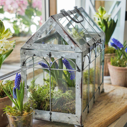 Esschert Design greenhouse with lockable lid, plant house size S, 29.3 x 15.4 x 26.4 cm, iron/glass with carrying handle, stable feet