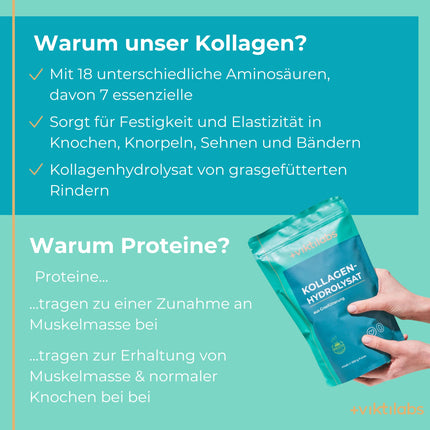 Viktilabs© - 100% pure grass-fed collagen hydrolysate | Collagen powder with 18 amino acids | Collagen types 1, 2 &amp; 3 | Caffeine-free | Laboratory-tested collagen powder | Collagen powder 500g