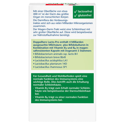 Doppelherz Lacto-Pro Lactic Acid Cultures + Bifido Cultures + B2 + B6 - Vitamin B6 contributes to the normal function of the immune system - 20 vegetarian and gastro-resistant capsules