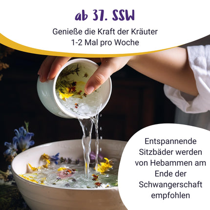 100% ORGANIC Hayflower Sitz Bath for Pregnancy | Hayflower bath for birth preparation from the 37th week of pregnancy - PregniVital®