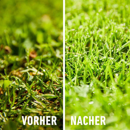 Compo Lawn Fertilizer Moss - No Thanks! 7.5 kg