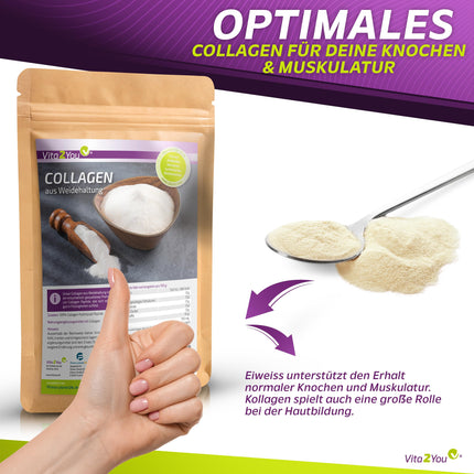 Vita2You Collagen Powder 1kg - Bioactive Collagen - 100% Solugel® - from grass-fed farming - Hydrolysate Peptides Type 1 and 3 - Protein - 1000g - Premium Quality