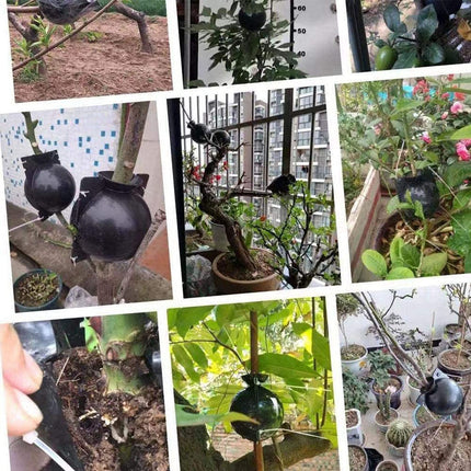 Plant Rooting Device Box Plant Root Booster Propagators Gardening High Pressure Propagation Ball Box Reusable Growing Grafting For Garden Grafting Root Formation, 12 Pieces1