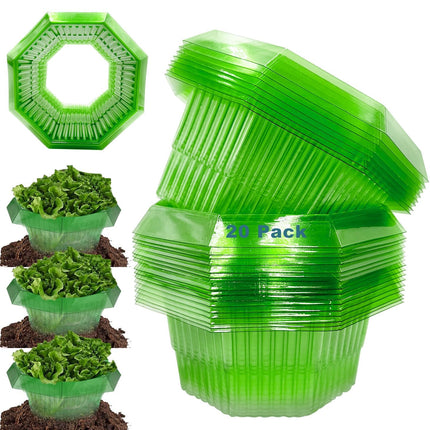 Sunshine smile 20 pieces snail collar, snail collar made of plastic, snail protection, snail protection rings, snail ring garden. Effective snail protection for your lettuce plants and hanging tomatoes.