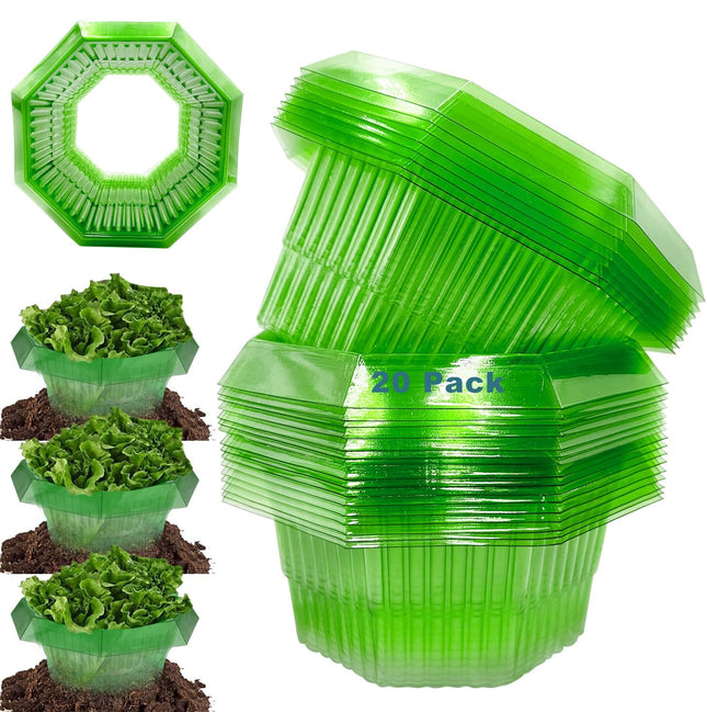 Sunshine smile 20 pieces snail collar, snail collar made of plastic, snail protection, snail protection rings, snail ring garden. Effective snail protection for your lettuce plants and hanging tomatoes.