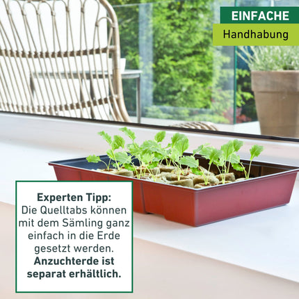 Windhager Indoor Greenhouse MAXI Window Sill Greenhouse Plant Cultivation incl. 24 Growing Tablets, terracotta/anthracite, 23.5 x 35 x 11 cm