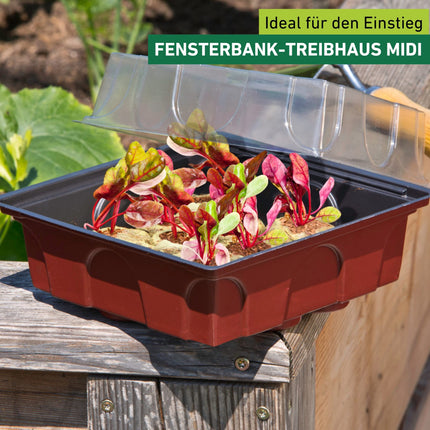 Windhager indoor greenhouse including 12 seedling tablets, mini greenhouse, terracotta/anthracite, 19.5 x 19 x 11 cm