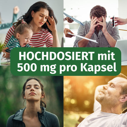 Rhodiola Rosea Capsules - High Dose: 500 mg per capsule with 3% Rosavins &amp; 1% Salidroside - 4 Month Supply (120 Capsules) - Rhodiola Rosea - Pharmacy Quality - Green Naturals®