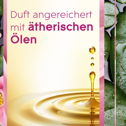 Glade (Brise) Automatic Spray, Room Fragrance, Holder incl. 1 Refill, Relaxing Zen, 269 ml