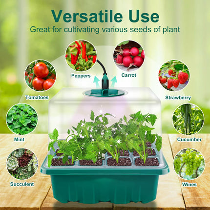 FORMIZON Greenhouse Propagation Tray, 5 Pack Mini Greenhouse Propagation with Higher Lids, 2 Tools, 10 Labels, Indoor Greenhouse Propagation Box with Timing Controller Adjustable Brightness