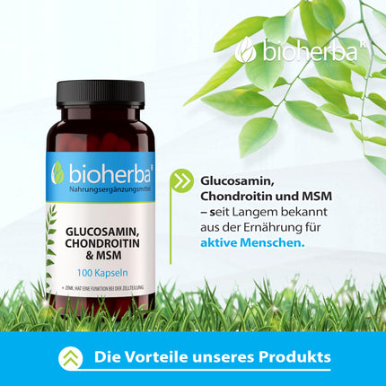 Glucosamine Chondroitin MSM + Zinc – 100 capsules with zinc for normal bone function and cell protection from BIOHERBA PZN 17190938