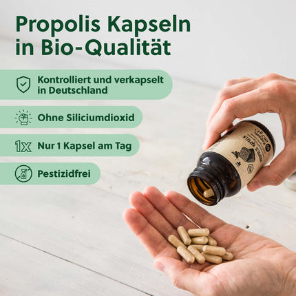 beegut ORGANIC Propolis Capsules, 60 capsules in a vegetable capsule shell with ORGANIC Propolis extract, sustainable packaging