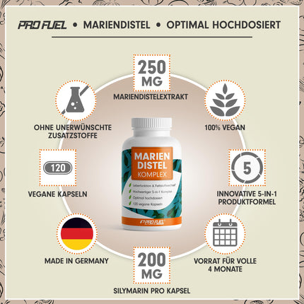 Milk Thistle Capsules High Dose 120x - 5-fold complex with milk thistle, artichoke, dandelion, desmodium &amp; choline - Liver function &amp; fat metabolism - 200 mg silymarin per day - 4-month supply