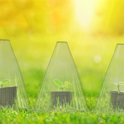 Relaxdays Plant Hat Set of 24, Planting Aid, Plant Protection from Frost, Snails &amp; Birds, PVC, Plant Cover, Green 10026432