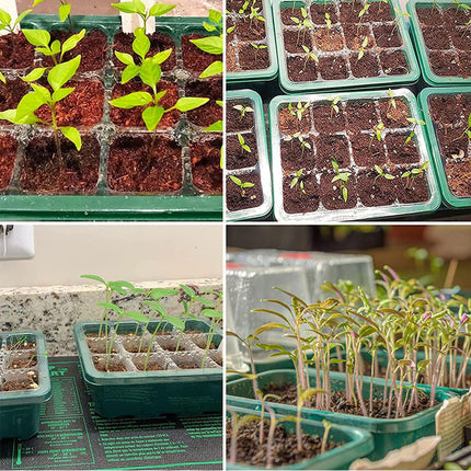Indoor greenhouse cultivation box, 3 pieces 36 cells mini greenhouse cultivation, cultivation trays seedling, seedling starter trays greenhouse cultivation tray with lid and ventilation for seedling plant