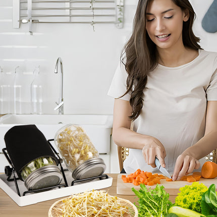 Sprouting Bottle Set of 2 for Seeds, Container for Home Growing with Sprouting Jar &amp; Stainless Steel Sieve – Includes Drainage Stand for Broccoli Sprouts, Alfalfa, Microgreens | Ideal for Sprouting Jars