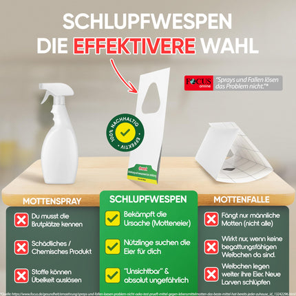 anwerk® Parasitic Wasps against Food Moths - 4 cards per 1 delivery - Effectively combat food moths - Alternative to moth traps, moth sprays, and pheromone traps (4 cards per 1 delivery)