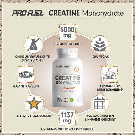 Creatine 5000 Giga Capsules - 5000 mg creatine per day - high-dose creatine capsules with 1137 mg creatine monohydrate per capsule - creatine monohydrate capsules without additives, laboratory-tested &amp; 100% vegan - 300 capsules