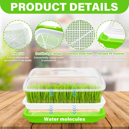 YODITI sprouting trays for sprouts cress cultivation trays: 6PCS Seed Sprouter Tray germination tray sprouts with lid for hydroponic large seed germination tray germination box for growing mung beans wheatgrass