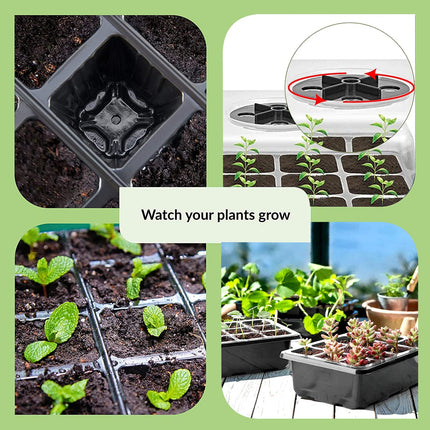 Mecctuck Growing Greenhouse, 3 Pack Grow Box, Indoor Greenhouse, Growing Kit, Mini Greenhouse, Indoor Plant Growing Greenhouse, Growing Tray, Growing Pots with Lid and Ventilation