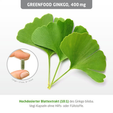 Ginkgo Biloba, high-dose, 400 mg - 120 capsules, vegan. Pure leaf extract with vitamin B5 - supports cognitive function. No artificial additives, laboratory-tested. From Greenfood.