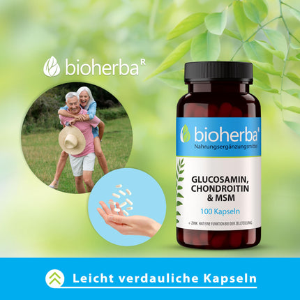 Glucosamine Chondroitin MSM + Zinc – 100 capsules with zinc for normal bone function and cell protection from BIOHERBA PZN 17190938