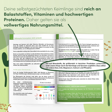 Green SEEDS Sprouting Jar, Set of 2, 1000ml, with High-Quality Stainless Steel Mesh Lid, Stand + FREE Sprouting ABC [Print Version]