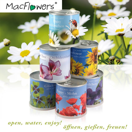 MacFlowers Flowers in a Tin Gift Set - Chili - Mint