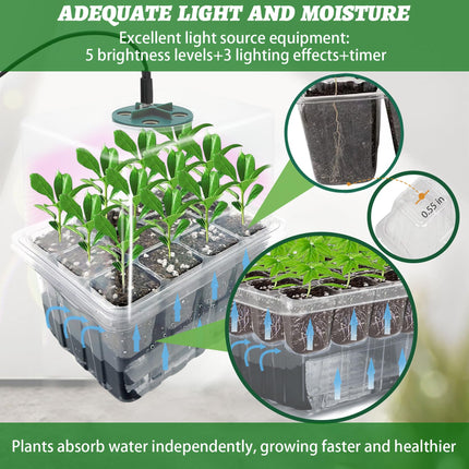 VEEKAY Indoor Greenhouse Propagator, Self-Watering Mini Greenhouse Propagation Set, 6 Pieces 72 Hole Greenhouse Propagation Tray, Seedling Starter Trays with Lid Ventilation for Seedling Plant