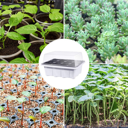 GAESHOW 12 Pack Indoor Greenhouse Propagator, 144 Grid Mini Greenhouse Propagation Set with Raised Lid, Reusable Propagation Plate, Greenhouse Propagation Trays for Seedling Plant
