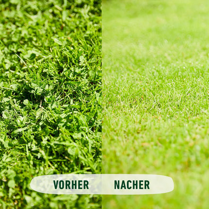 COMPO lawn fertilizer against weeds and moss - 9 kg for 300m² - 3 months long-term effect - COMPO lawn fertilizer against weeds + moss complete care