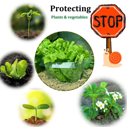 Sunshine smile 20 pieces snail collar, snail collar made of plastic, snail protection, snail protection rings, snail ring garden. Effective snail protection for your lettuce plants and hanging tomatoes.