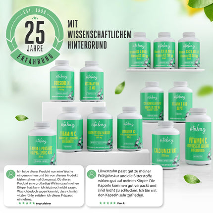 Vitabay Dandelion Root Extract 500mg - 120 Dandelion Capsules High Dose &amp; Vegan - Dandelion Extract Dandelion Extract Dandelions - Dandelion Root Capsules Dandelion Taraxacum Laboratory Tested