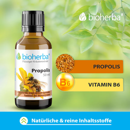 Propolis drops alcohol-free – 50 ml tincture with vitamin B6 – herbal food supplement from BIOHERBA PZN 17187037