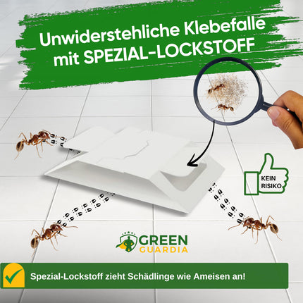 GREEN GUARDIA ant trap with special attractant – 6 traps – for discreet and environmentally friendly monitoring of ant activity. Chemical-free, odorless, and with a strong adhesive surface.