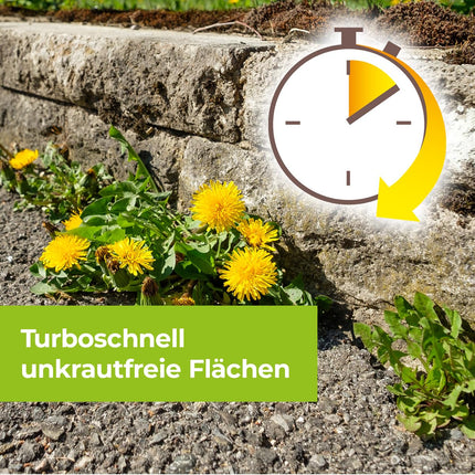 PROTECT GARDEN Permaclean base Acetum, turbo-fast weed removal on paths, squares and patios, 5 litre canister